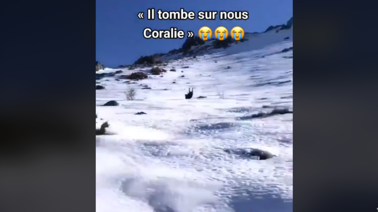 Ce sanglier chute et glisse vers deux jeunes femmes ! Leur réaction est hilarante