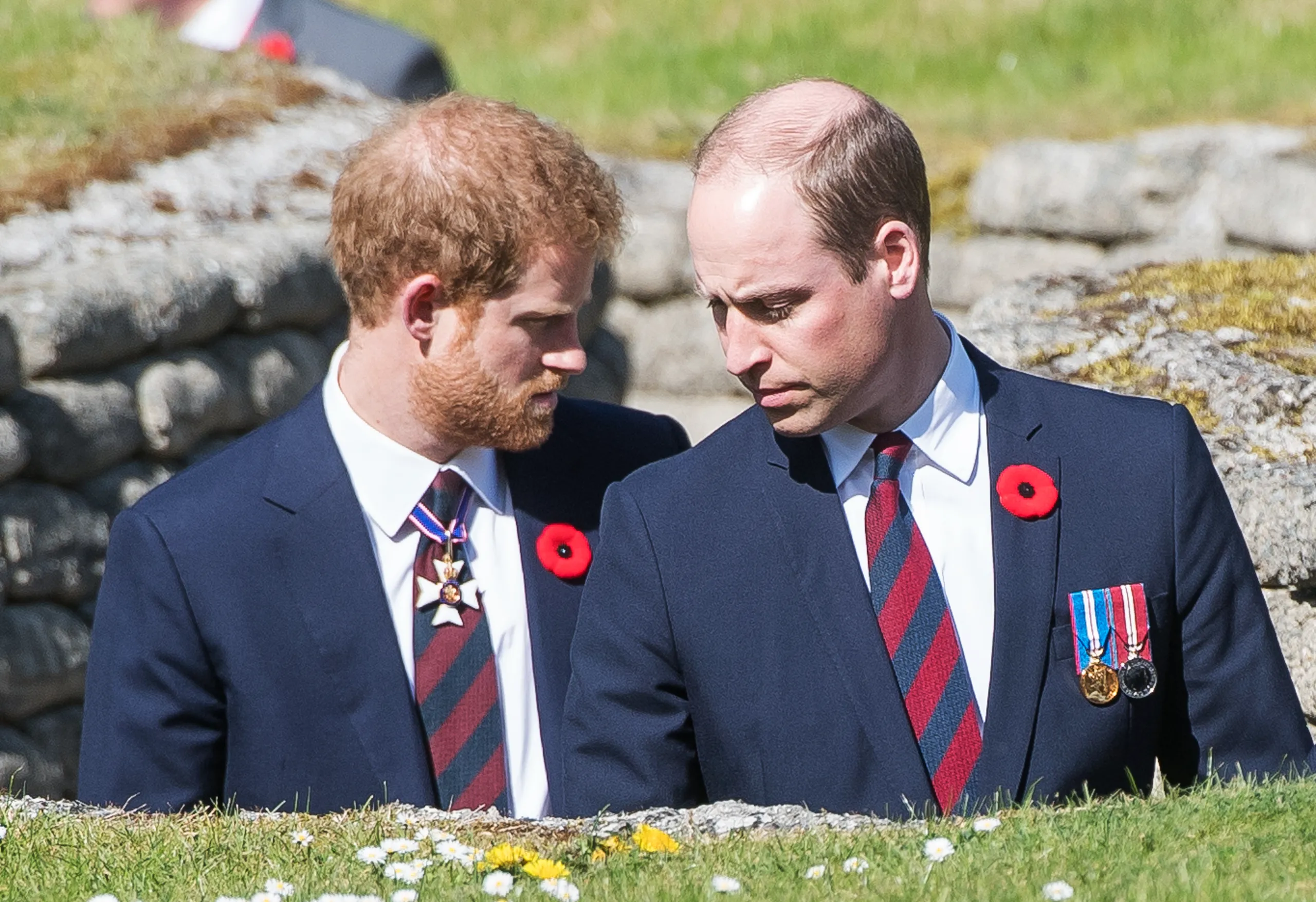 Le prince Harry et le prince William @DR