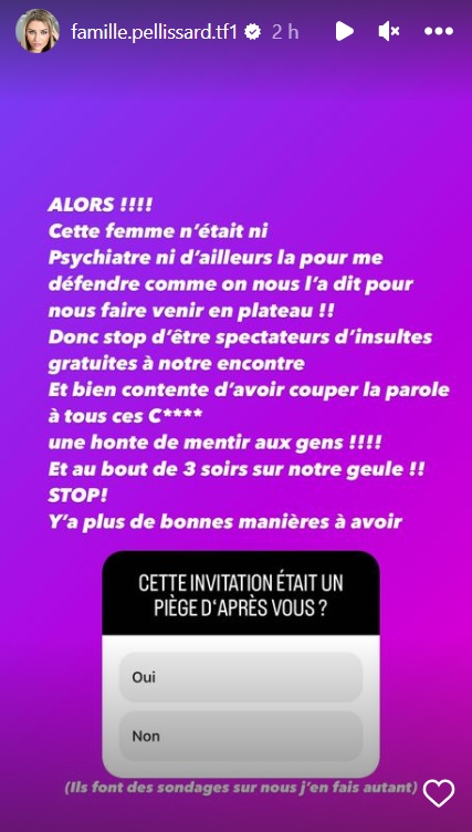 Amandine Pellissard en colère après son passage dans TPMP : "Une honte de mentir aux gens"