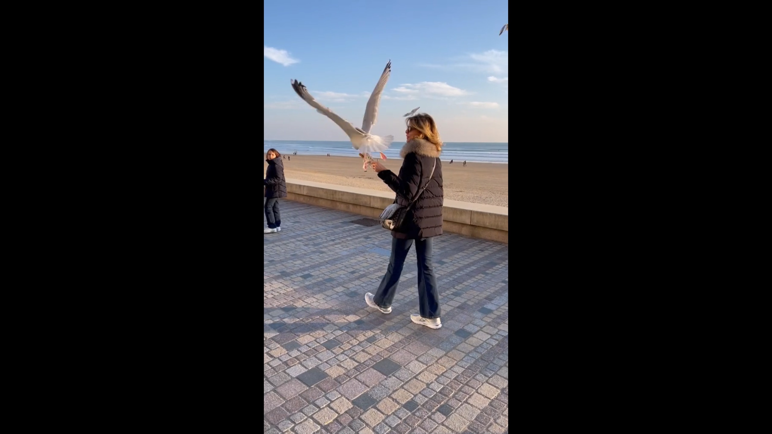 Sylvie Tellier se fait piquer son churros par une mouette !