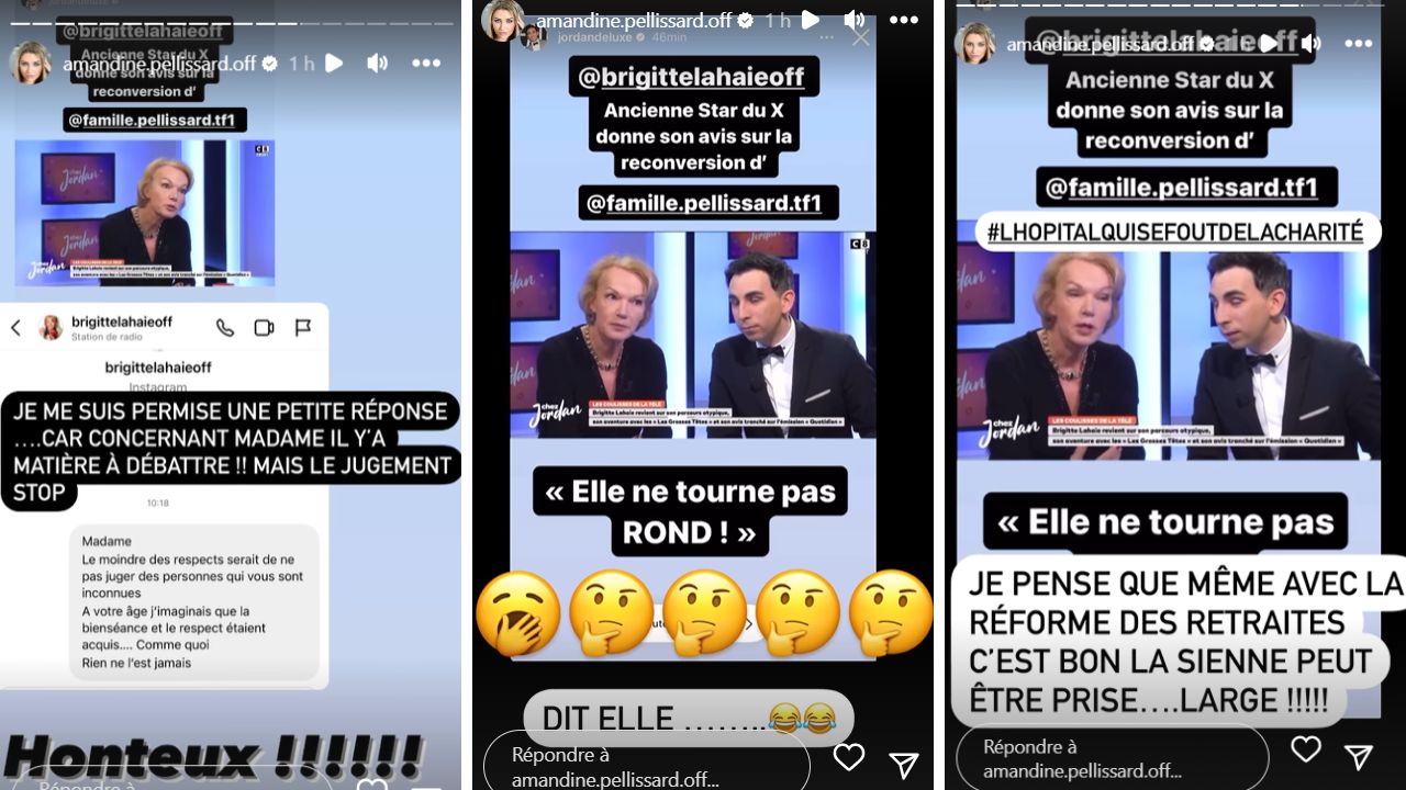 Brigitte Lahaie clashe Amandine Pellissard : "Elle a quelque chose qui la démange en bas"