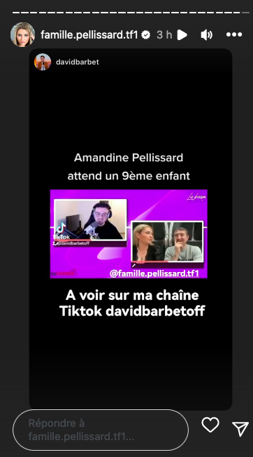 Amandine Pellissard enceinte de son 9ème enfant ! Sa reconversion dans le X chamboulée ?