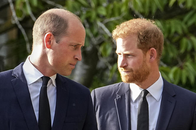 Le Prince Harry et le Prince William : ce mot à l’origine de leur conflit