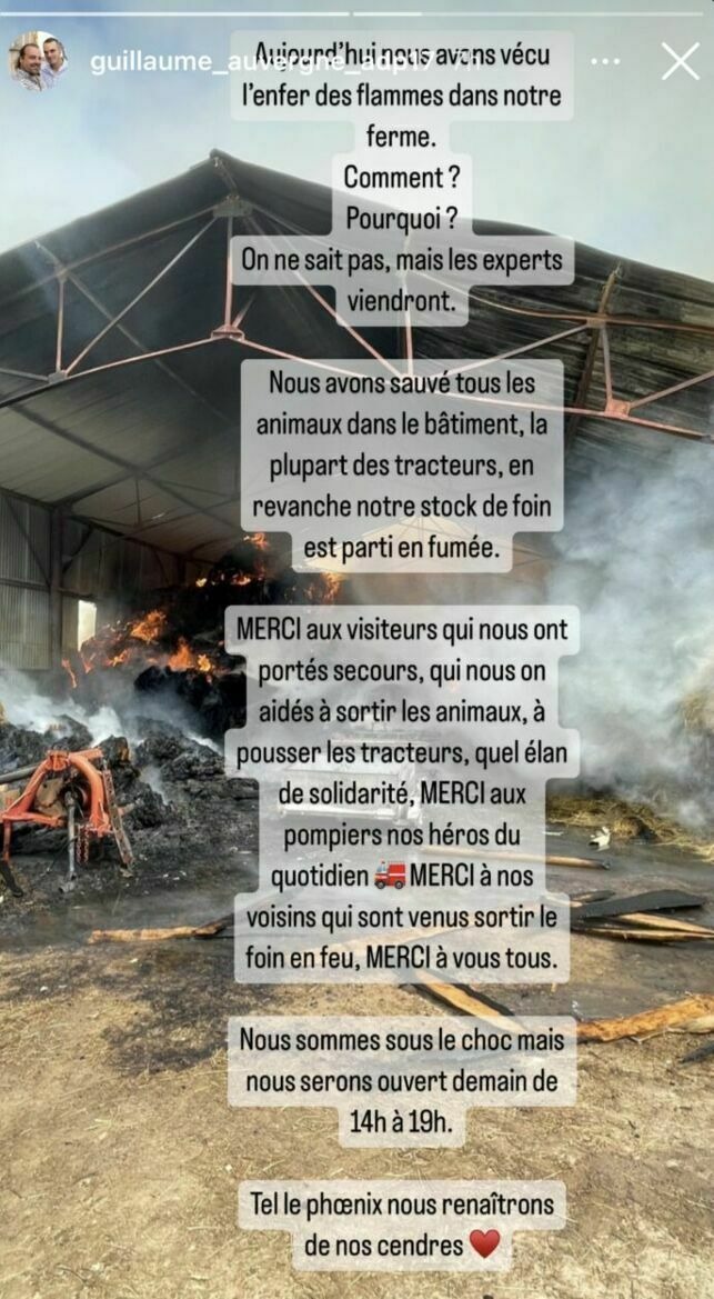 "C’était la catastrophe" : Guillaume (L’amour est dans le pré) se confie sur l’incendie de sa ferme