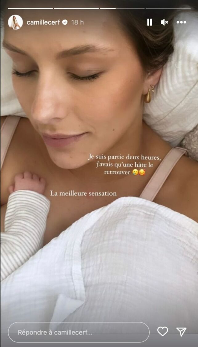 Camille Cerf maman pour la première fois : cette tendre photo avec son bébé