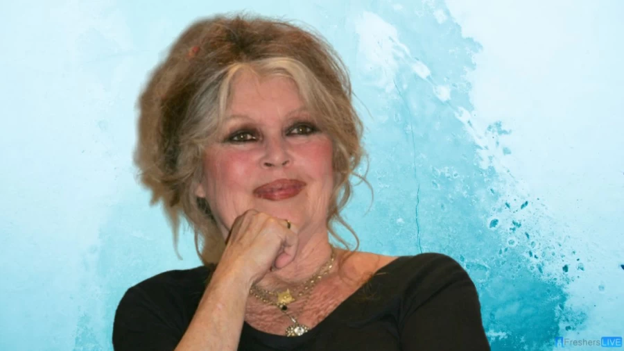 "Si les filles étaient d’accord, pourquoi pas ?" Brigitte Bardot et son rapport au sexisme