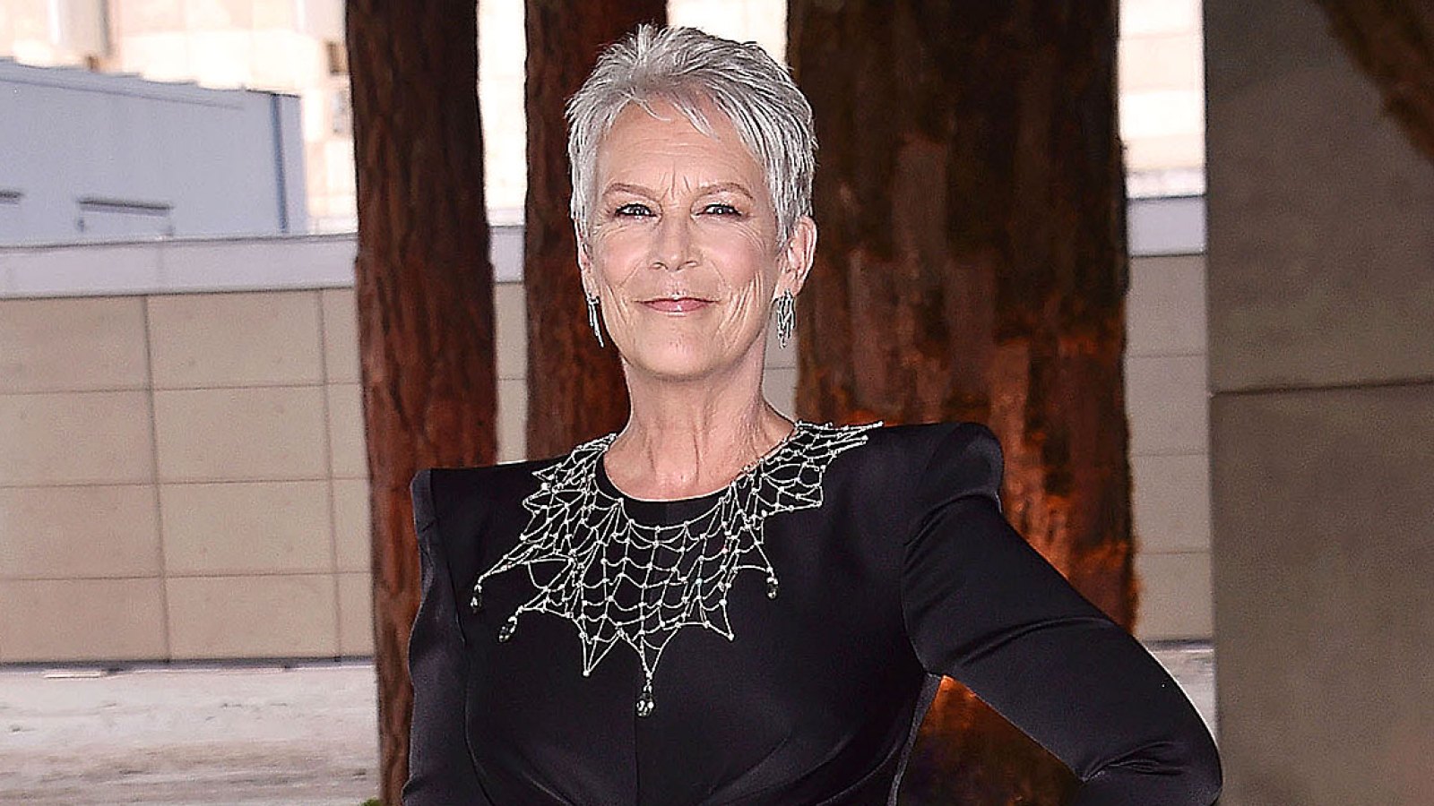 Jamie Lee Curtis : l’actrice lance un appel pour obtenir un rôle dans la série One Piece