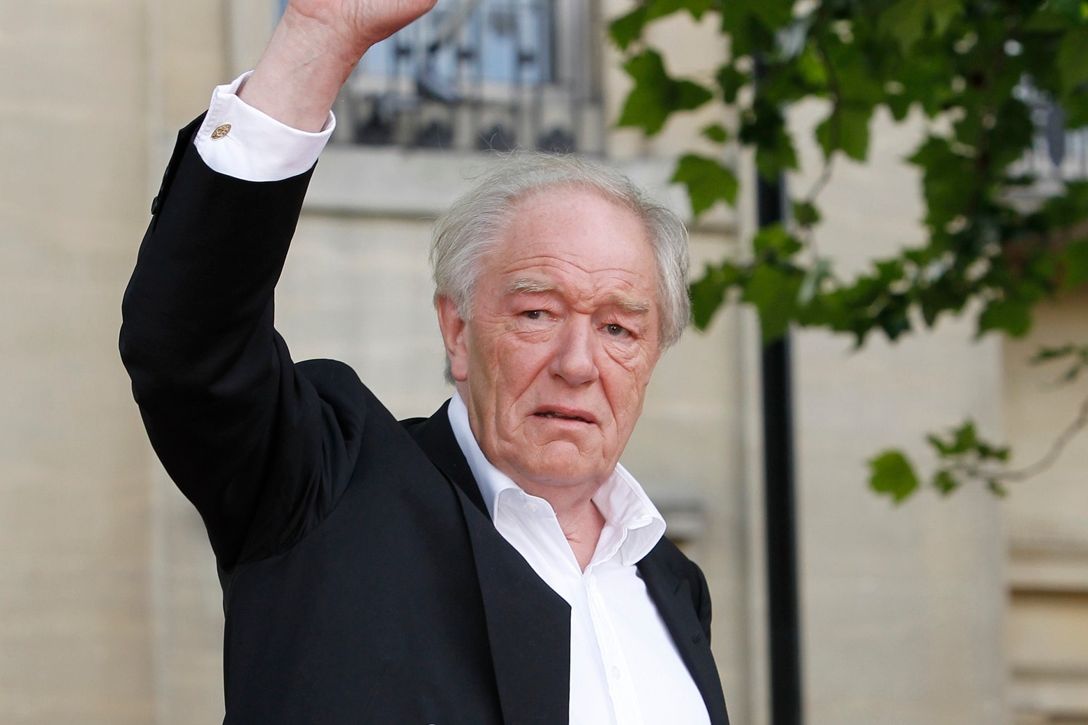 Mort de Michael Gambon : l’acteur qui jouait Dumbledore dans Harry Potter nous a quittés