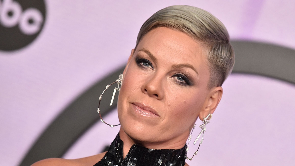 Pink victime de la méchanceté d’un hater, elle réplique : "sois créatif la prochaine fois"