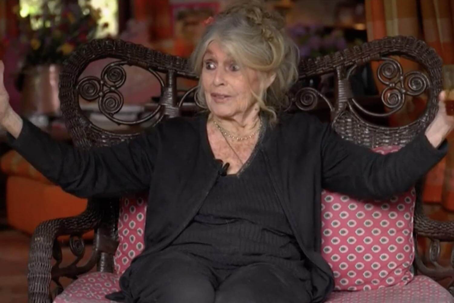 Brigitte Bardot interpelle Emmanuel Macron avec un cadeau insolite : &quot;Il est obligé d’écouter&quot;