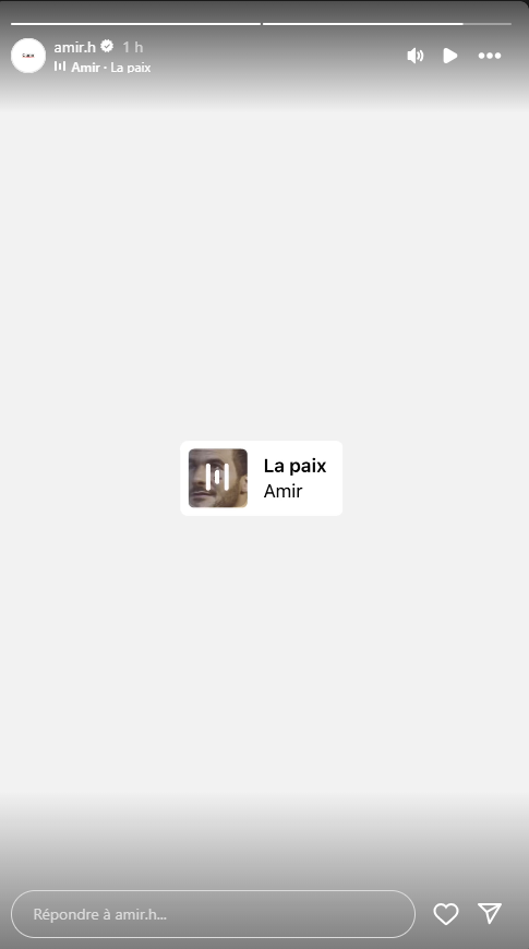 Amir boycotté : il répond à la polémique à sa manière…