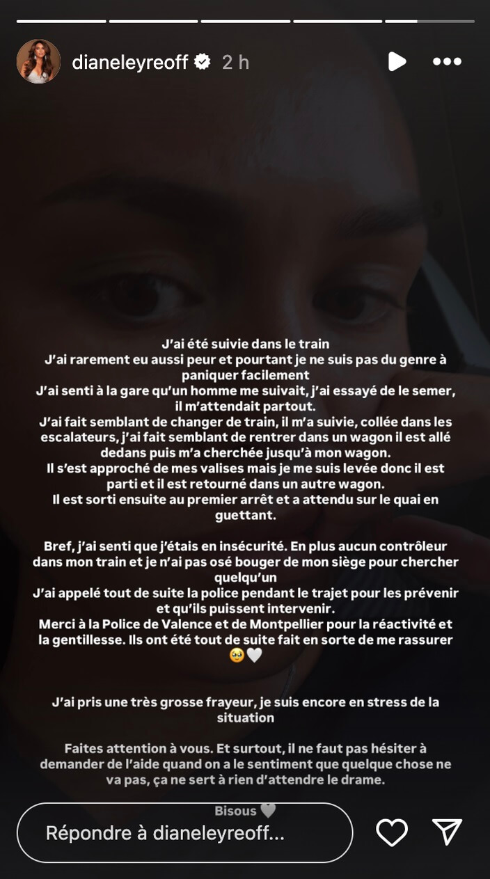 Diane Leyre harcelée par un inconnu dans un train : "J'ai rarement eu aussi peur"