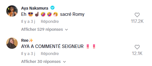 Romy (Secret Story) fan d’Aya Nakamura : la chanteuse réagit !