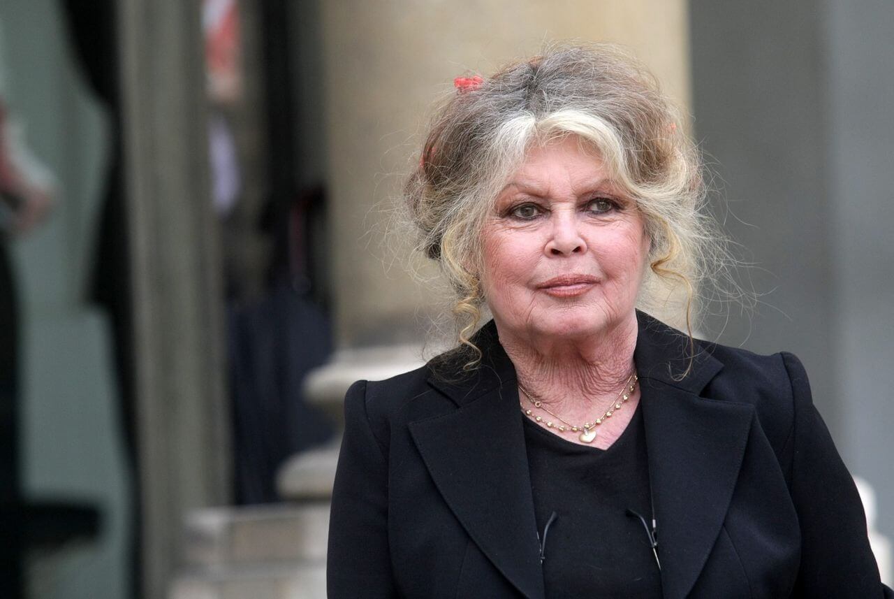 Brigitte Bardot endeuillée : son ex-mari et père de son fils unique est décédé