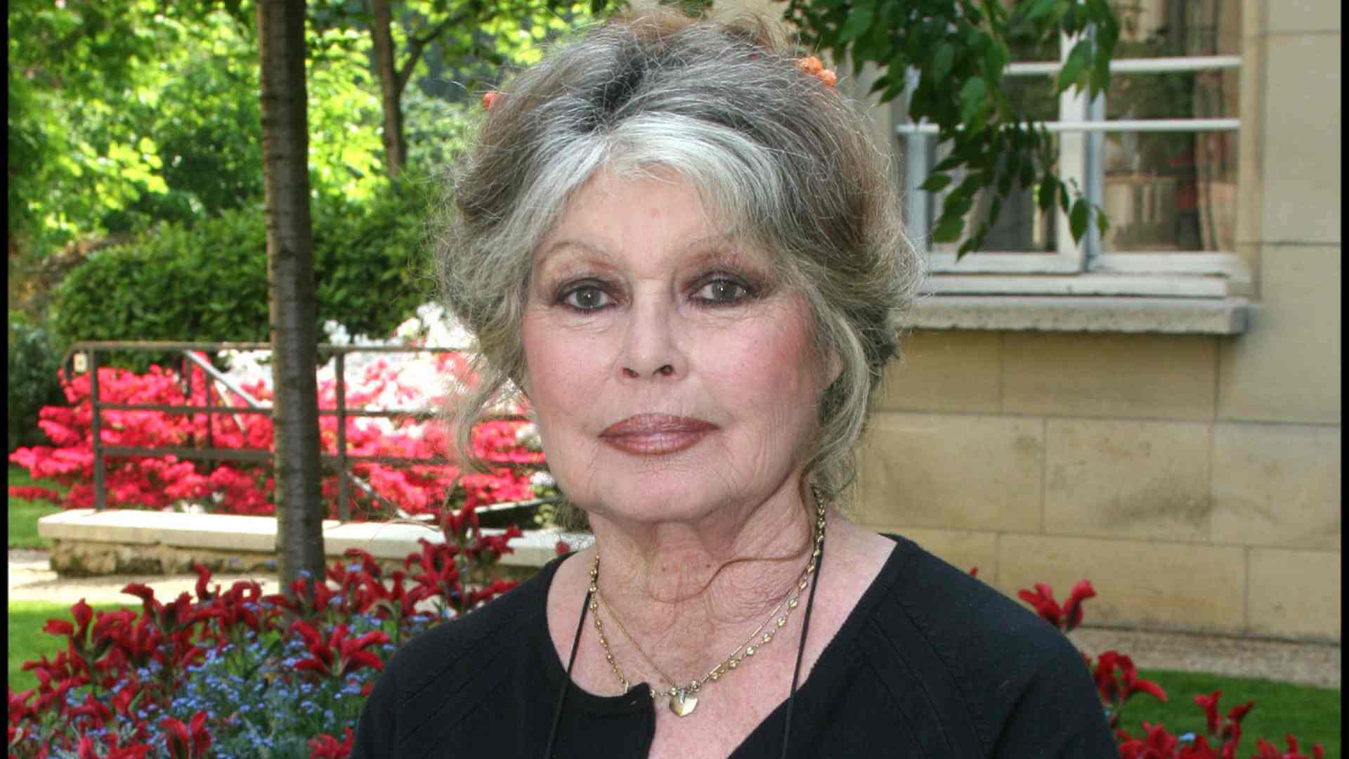 Brigitte Bardot : son coup de gueule après avoir été annoncée morte &quot;Quel est l’imbécile…&quot;