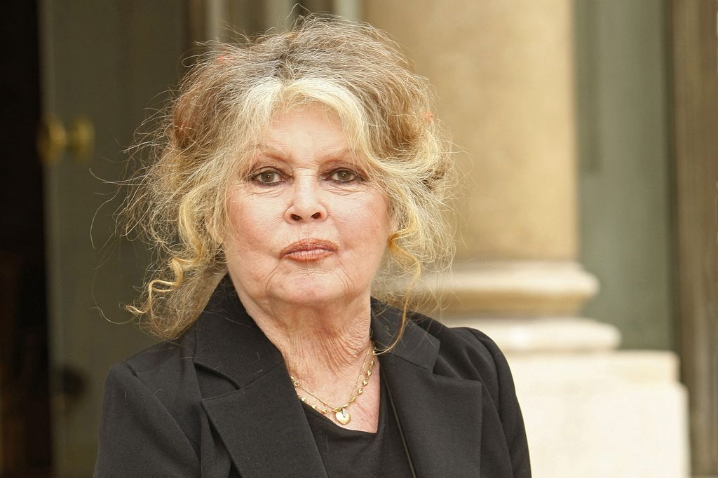 Brigitte Bardot : l'icône du cinéma français décédée à l'âge de 91 ans