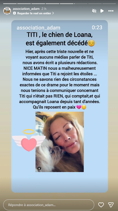 Mort de Loana : son chien Titi retrouvé mort lui aussi