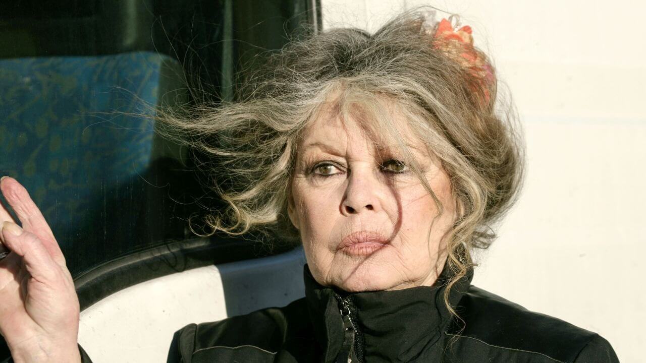 Brigitte Bardot : la famille Kretz met en vente son appartement parisien à un prix exorbitant