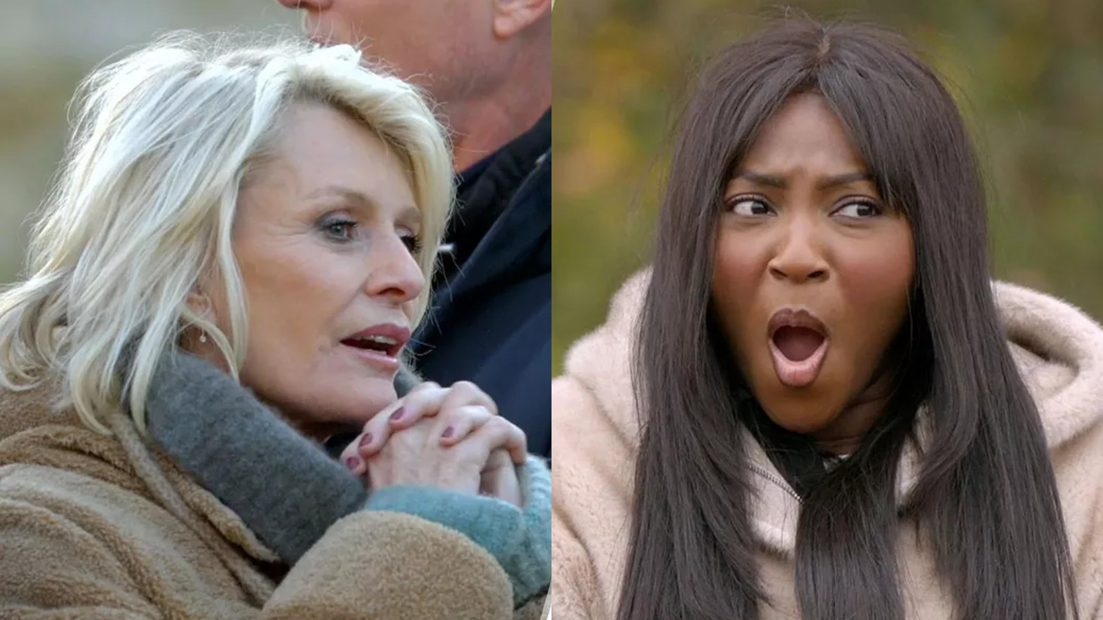 "Elle m’avait tellement agressée..." : Sophie Davant sur le comportement de Fatou Guinea