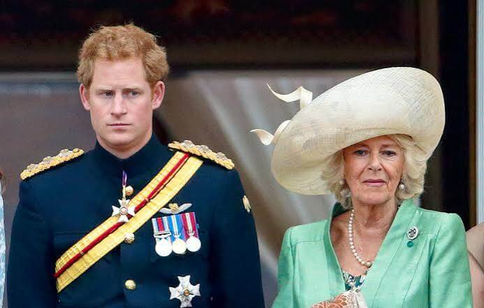 Prince Harry : ce geste de la reine Camilla envers lui après ses violentes attaques